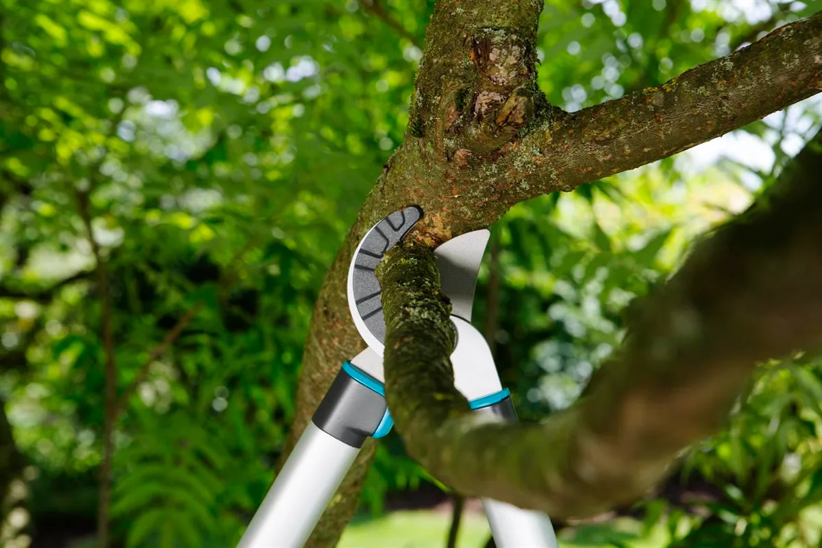 Cortarramas Easycut 680 a — foto 3