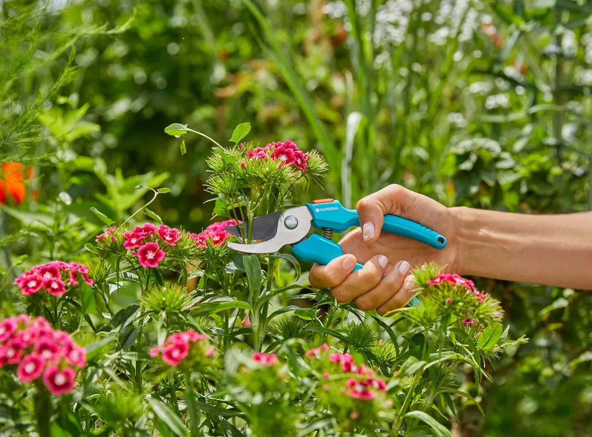 Tijera de Jardín Classic — foto 4
