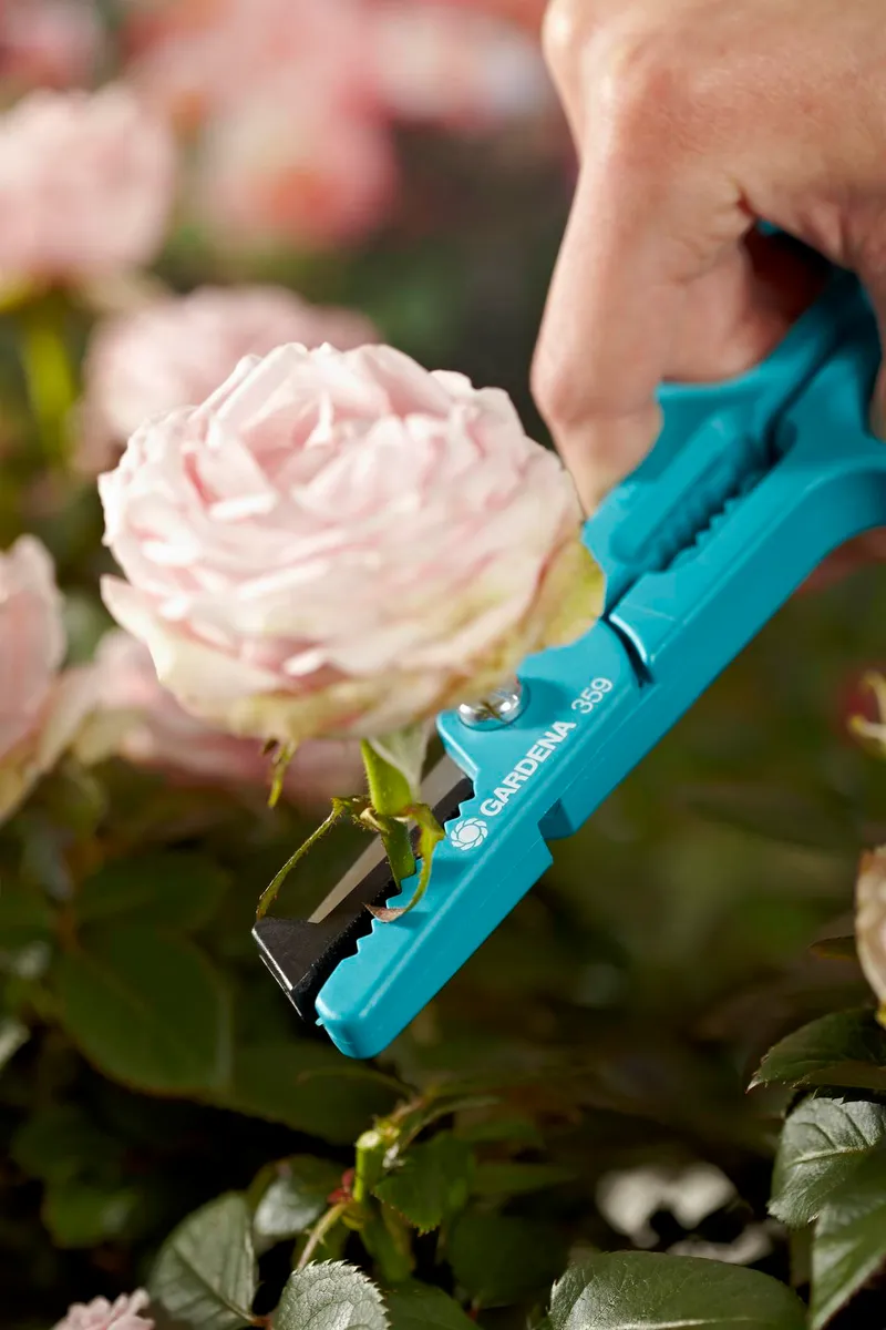 Tijera para Rosas — foto 3